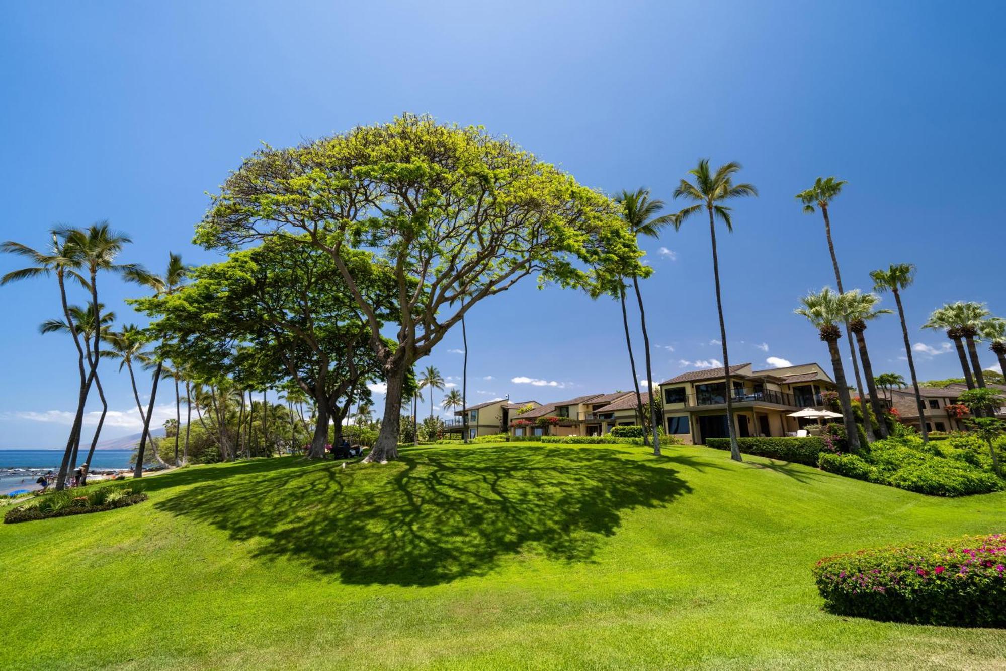 Elua 2001 Villa Wailea  Exterior photo