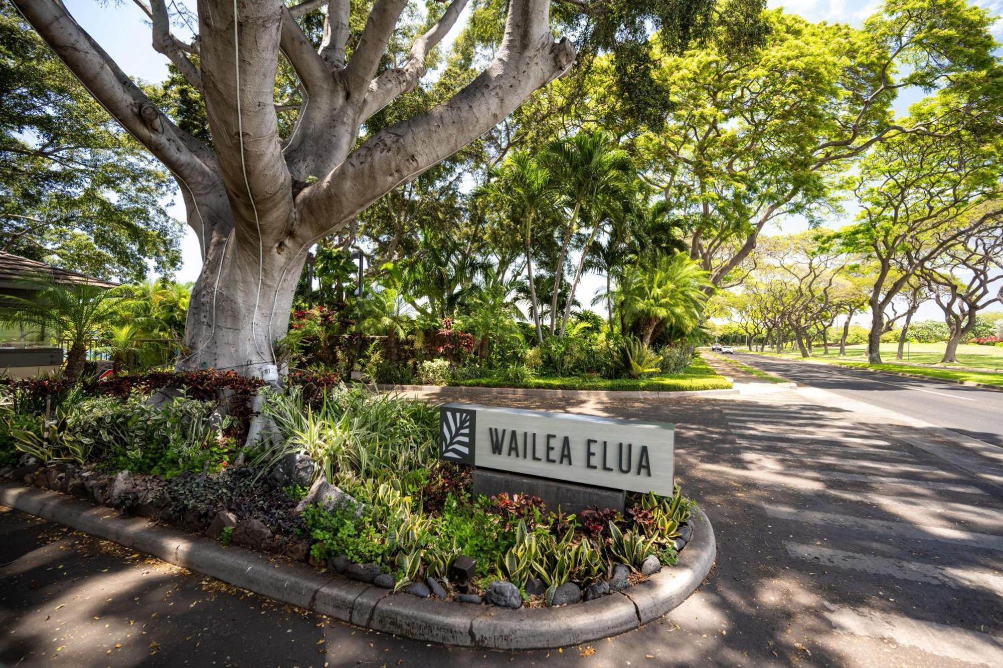 Elua 2001 Villa Wailea  Exterior photo